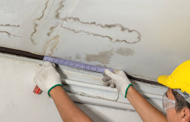 Reliable Water Damage Repair contractor in California City, CA by Hirex Water Damage